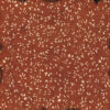 Bellaluna Redhood Collection 12x12" - Imagen 8
