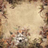 Bellaluna Redhood Collection 12x12" - Imagen 7