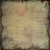 Bellaluna Osiris Collection 12x12" - Imagen 9