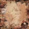 Bellaluna Redhood Collection 12x12" - Imagen 17