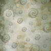 Bellaluna Aloha Collection 8x8" - Imagen 6